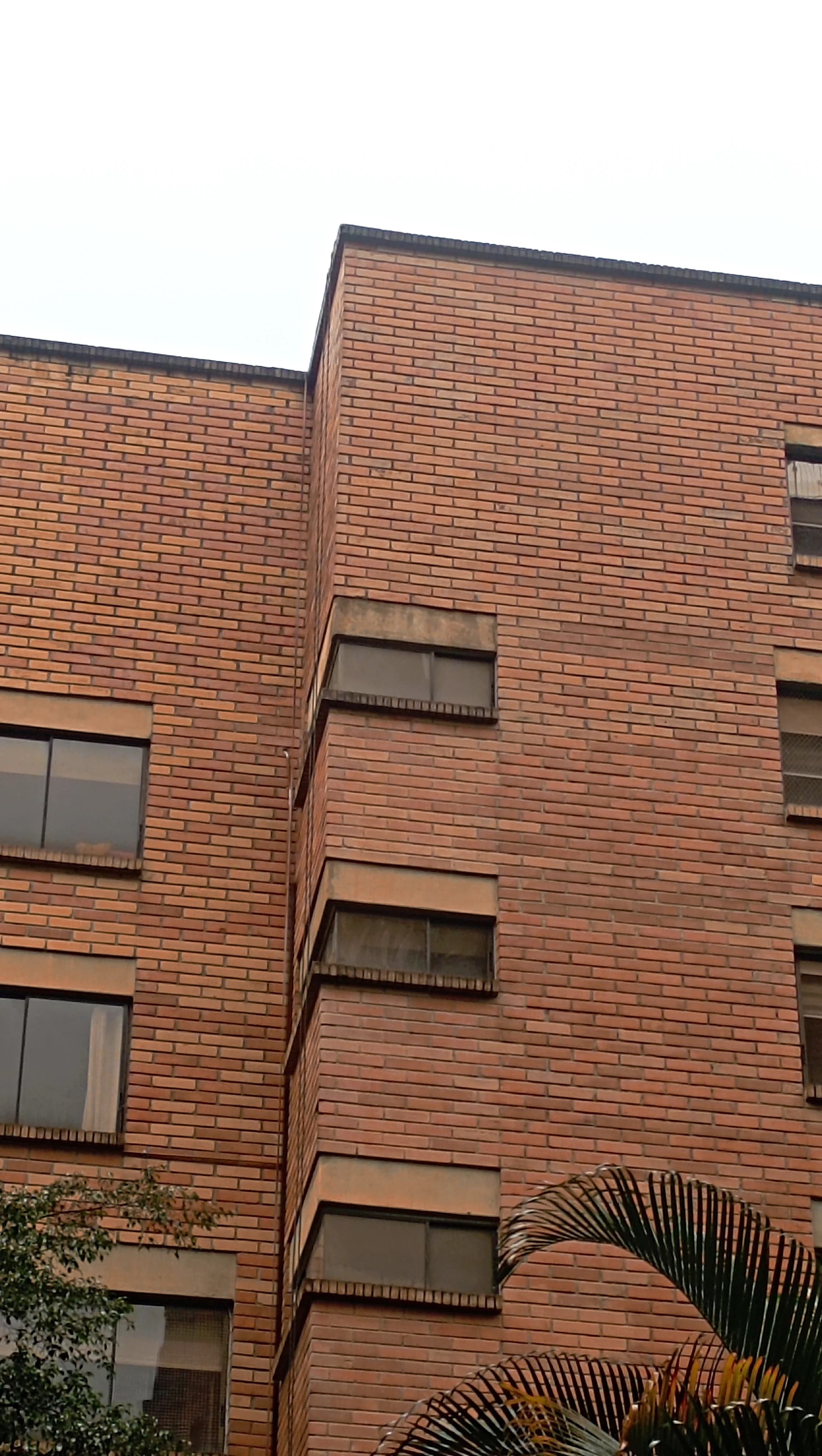 Acabado uniforme en muro exterior